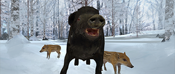 Niebezpieczne zwierzęta